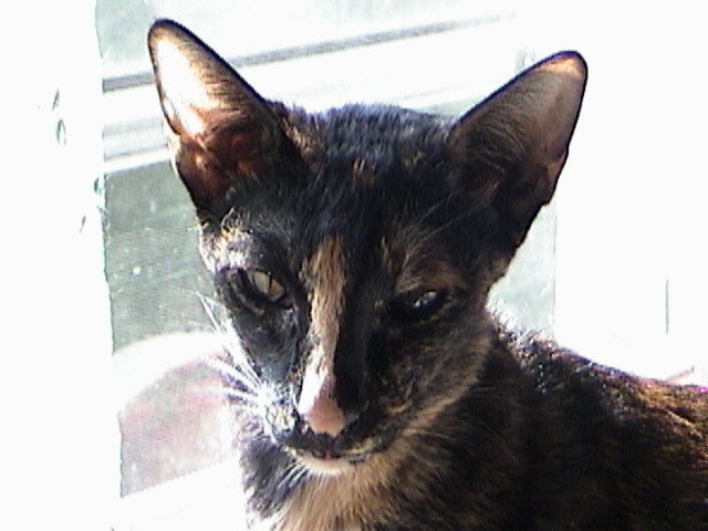 Bijoux