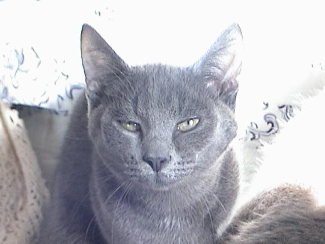 Jake