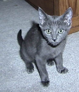 Max