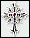 Silver Cross