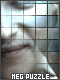 MegPuzzle10