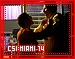 CSIMiami14