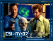 CSINY07