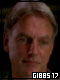 Gibbs17