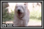 Doc05