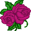 wedd