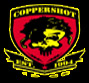 Coppershot
