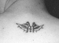 my wings