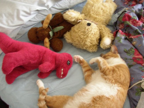 How cute!!!