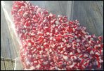 Candy - bagged