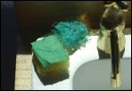 Dish Sponges