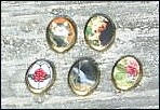 Small gold-framed pictures