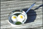 Fried Eggs