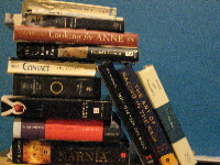 Stack of Books. Photo by Meghan Hansen