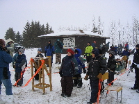 Cubs day- Starting Gate, March 5, 2006. Photo by Tom Hansen