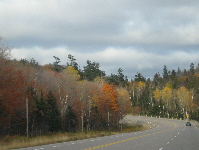 Heading North along Hwy 11. Photo by Meghan Hansen