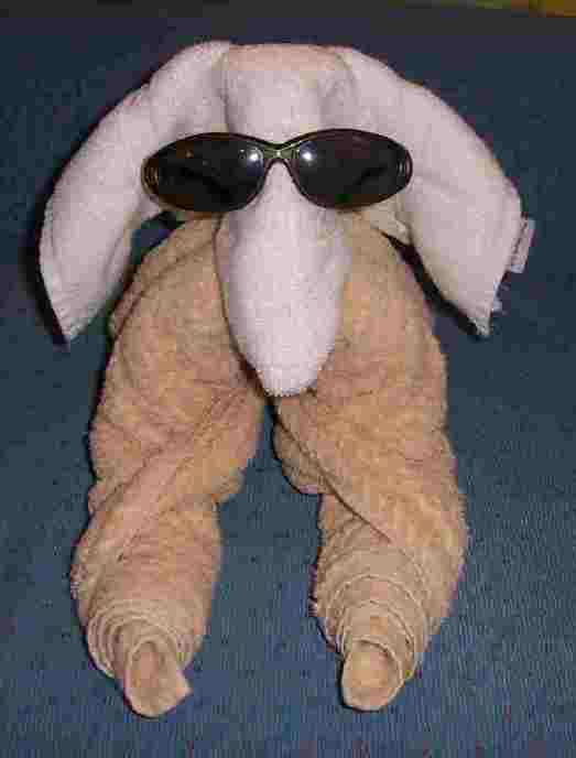towel dog