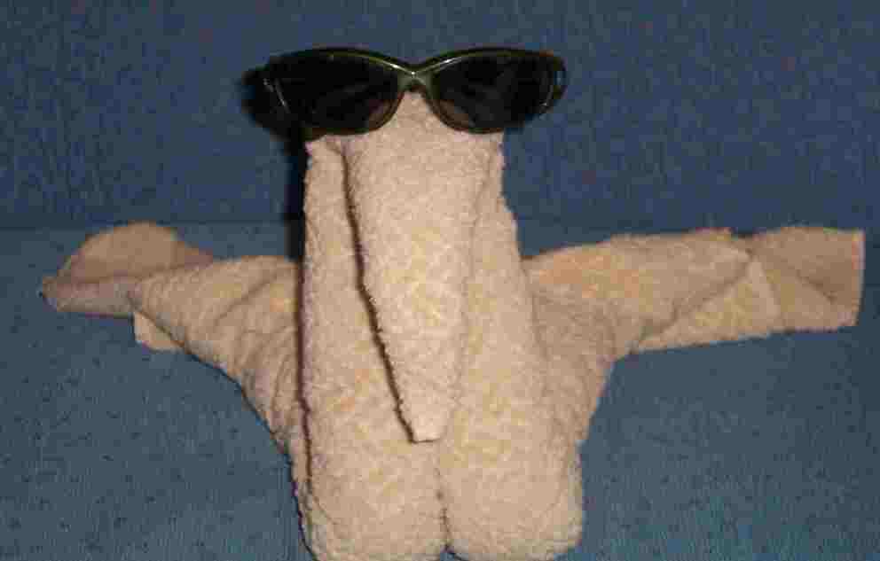 funny towel