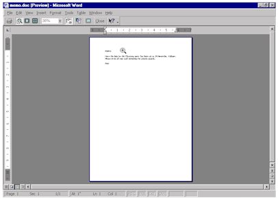 Print preview showing preview of document