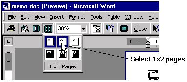 Selecting the number of pages to preview