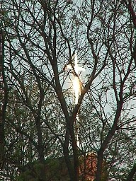 Cross of Gold