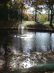 Fountain of Wisdom