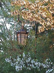 Hello Lamp-post