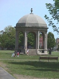 A Day at the Park