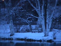 Lonely Twilight