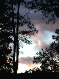 Stormfront