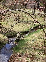 Where Streamlet Meander