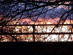 Spring Sunset