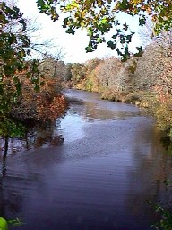 Creekside