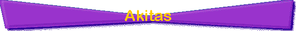 Akitas