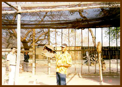 8. Mokolokolo Animal Preservation