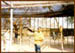8. Mokolokolo Animal Preservation 