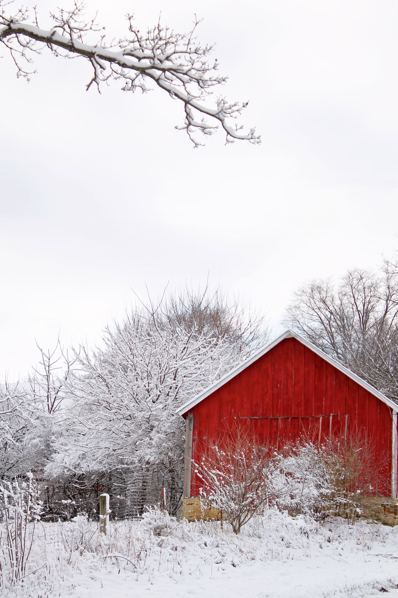 Red Barn