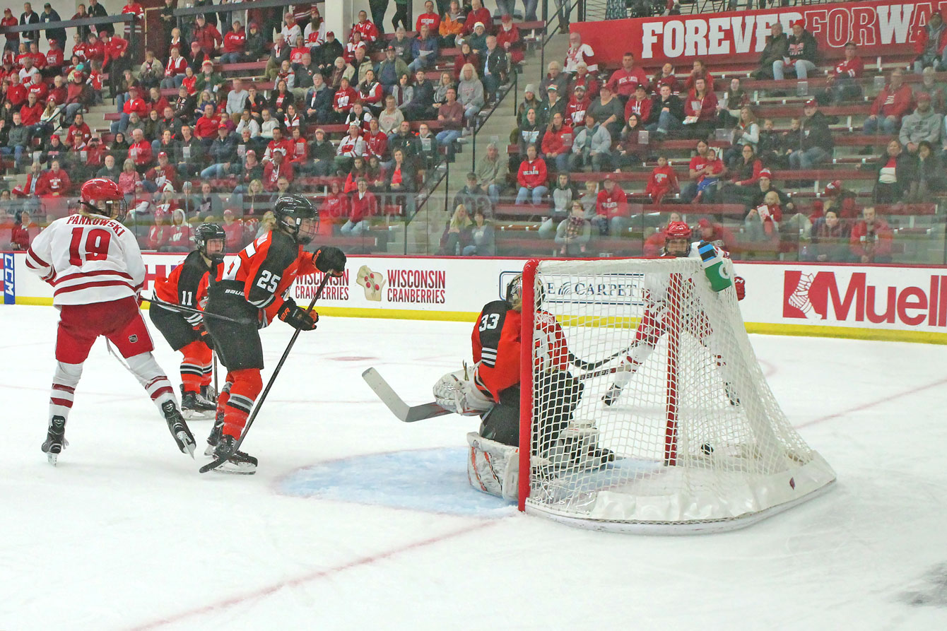 Badger Goal