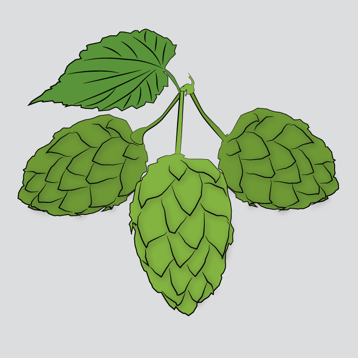 Hops