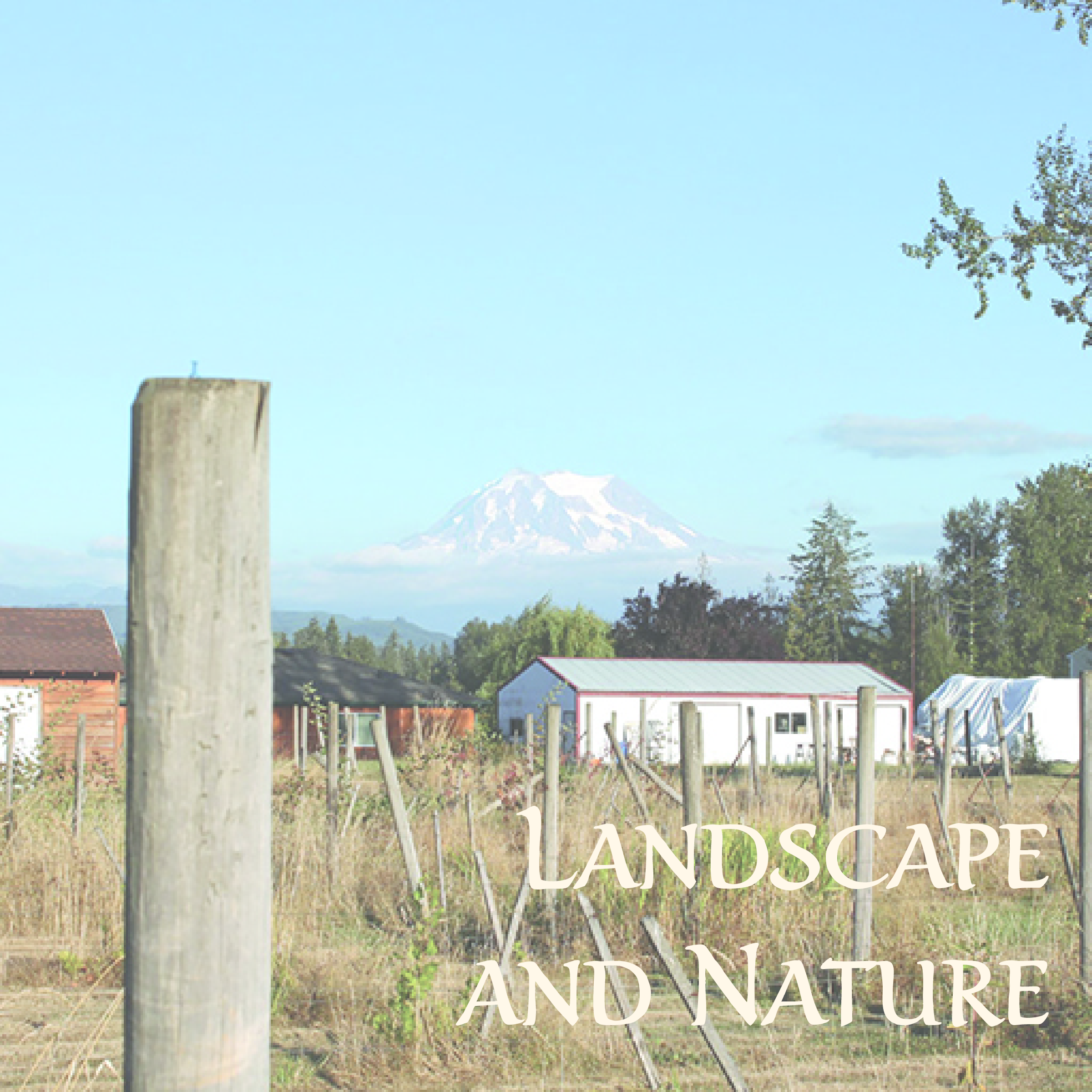 Landscapes
