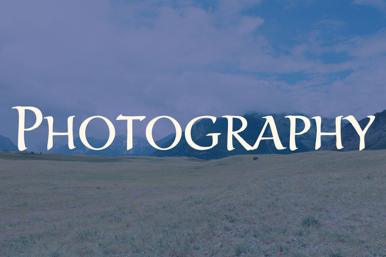 Photography