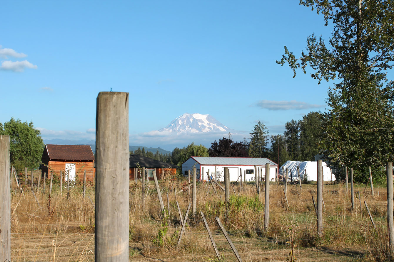 Mount Rainier
