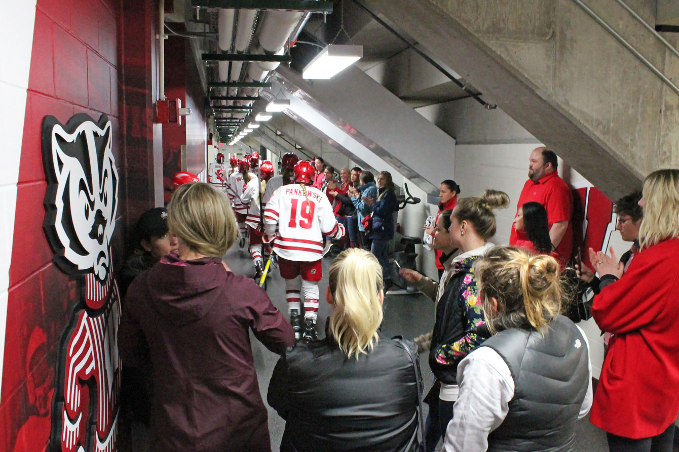 Badgers in Tunnel