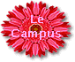 Pour voir mon campus, ma fac, mes salles de cours...