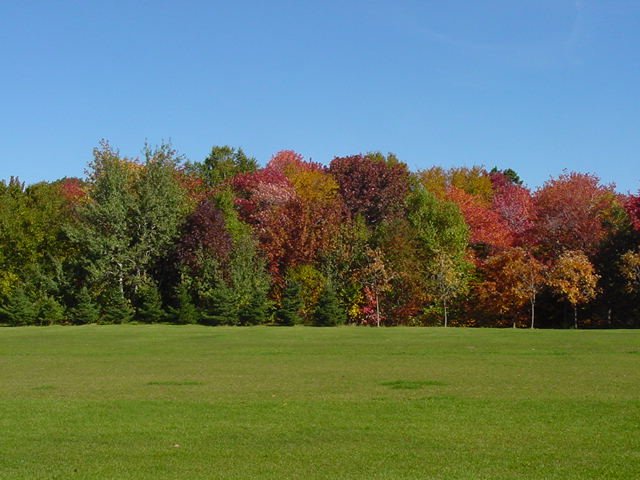 c'est le parc du campus!!!