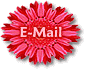 contacte moi!!!