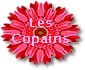 coucou les copains!!!