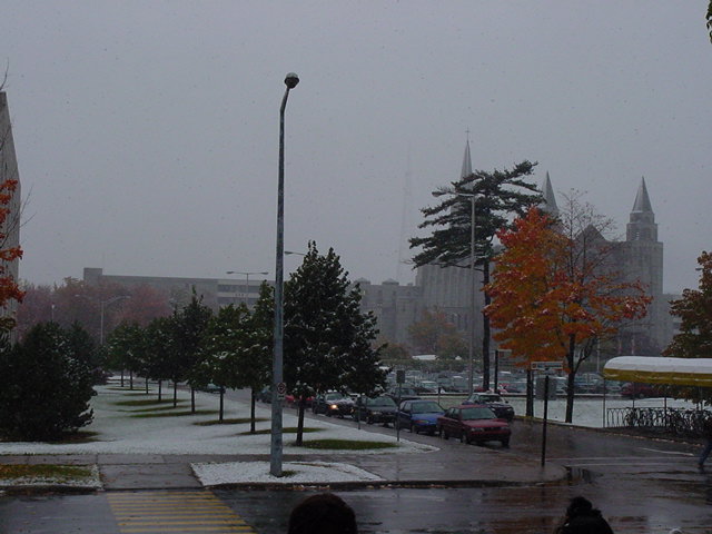le campus sous la neige....