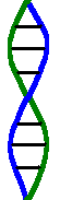 Double Helix