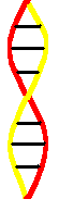 Double Helix